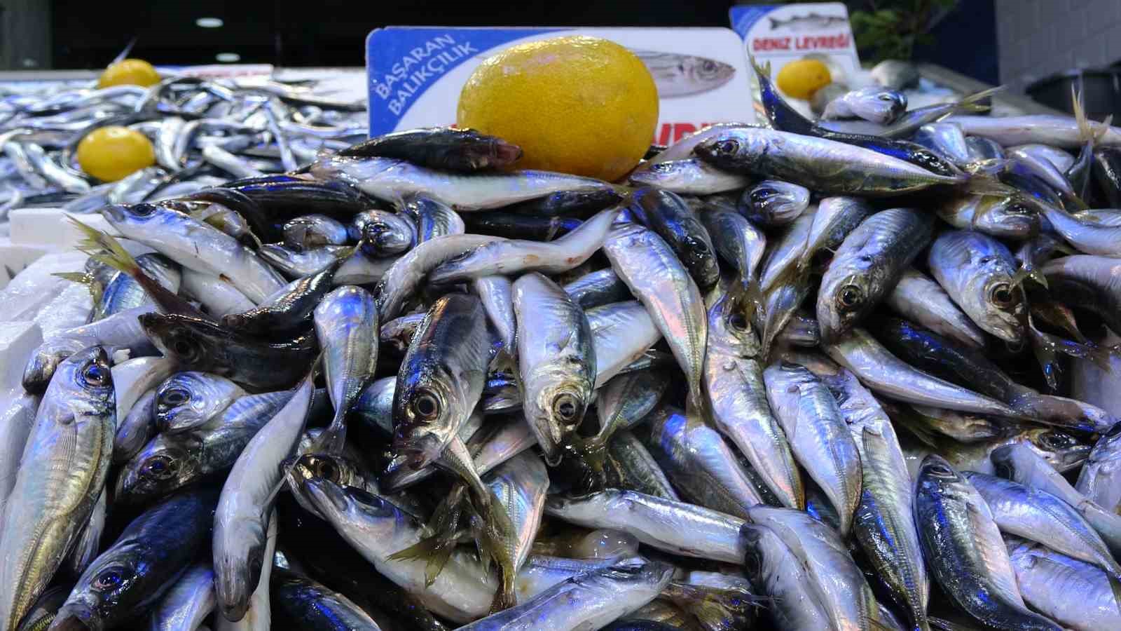 Olumsuz hava koşulları nedeniyle avlanma faaliyetleri azaldı, bu durum da balık fiyatlarının iki katına çıkmasına neden oldu.