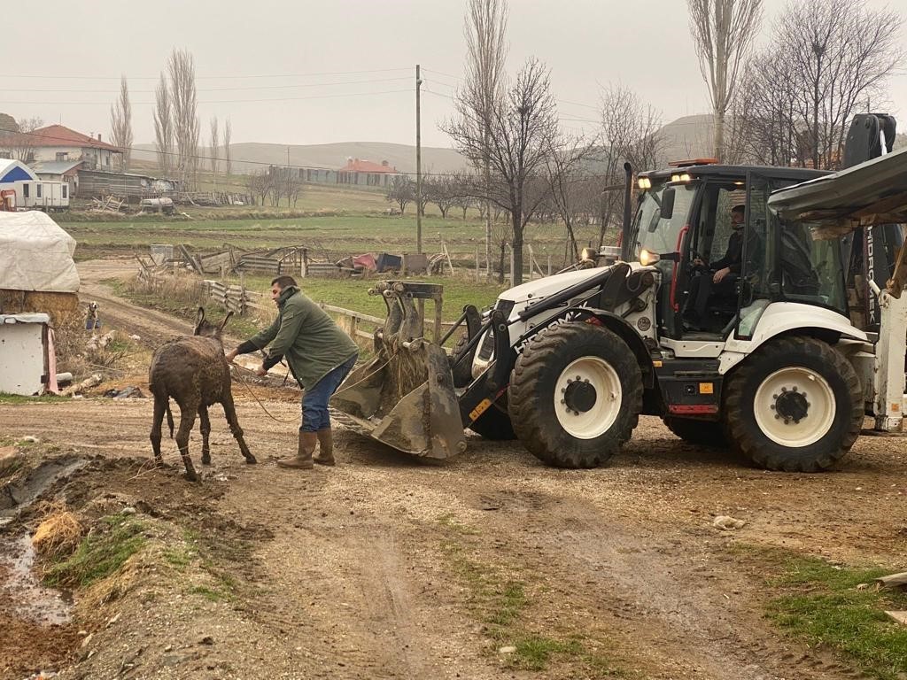 Bataklığa saplanan eşek, kepçe yardımıyla kurtarıldı