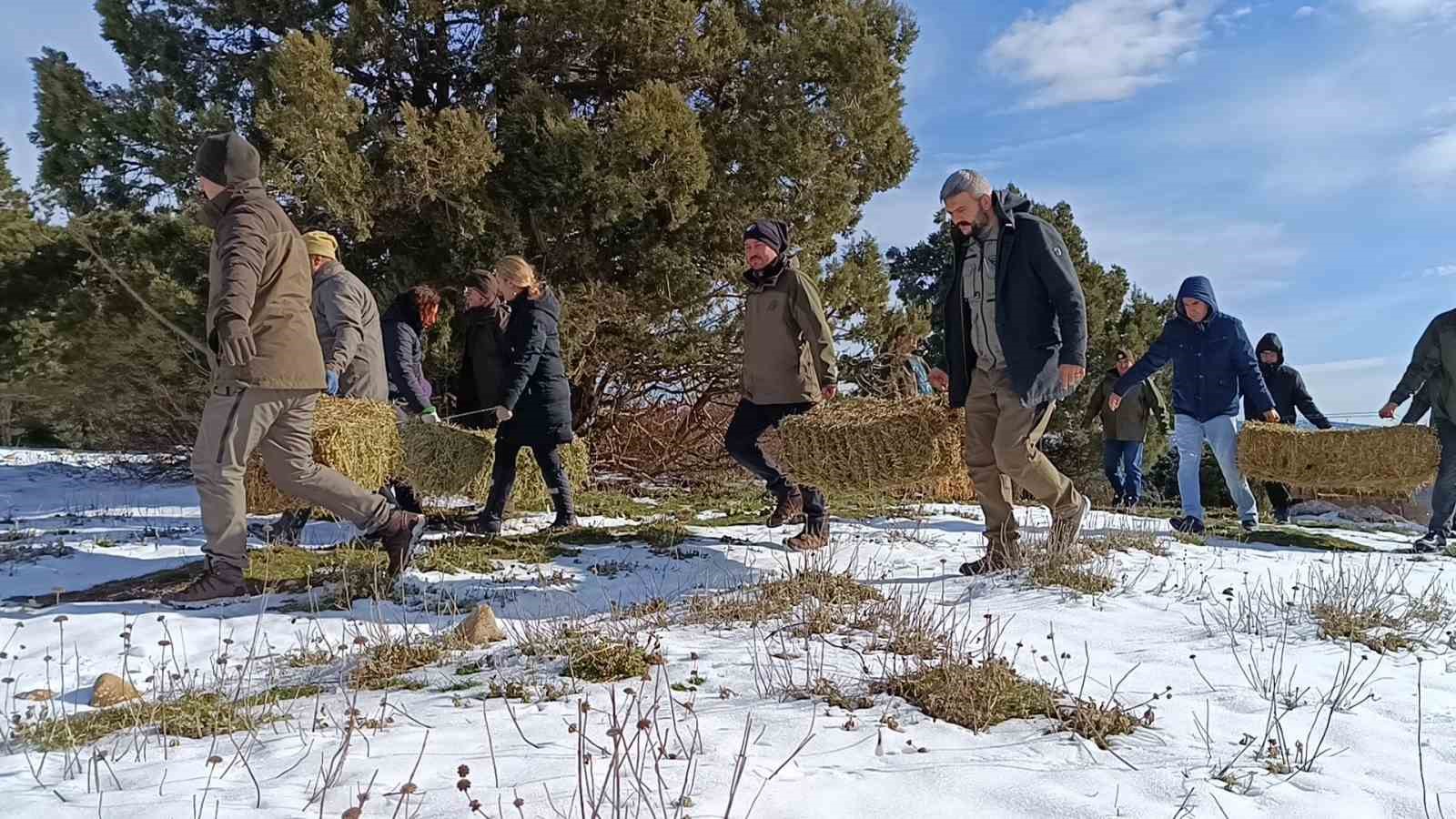 Karla kaplı Spil Dağı’nda yaşayan yaban hayvanlarına önem veriliyor