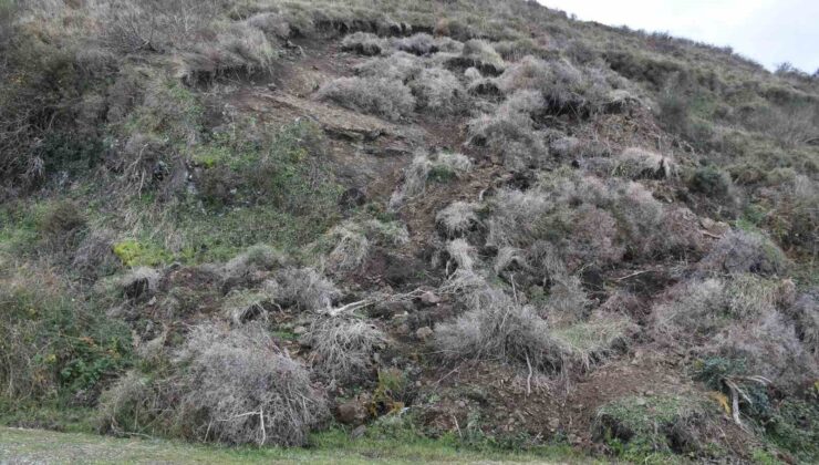 Sinop’ta endişe verici bir heyelan meydana geldi