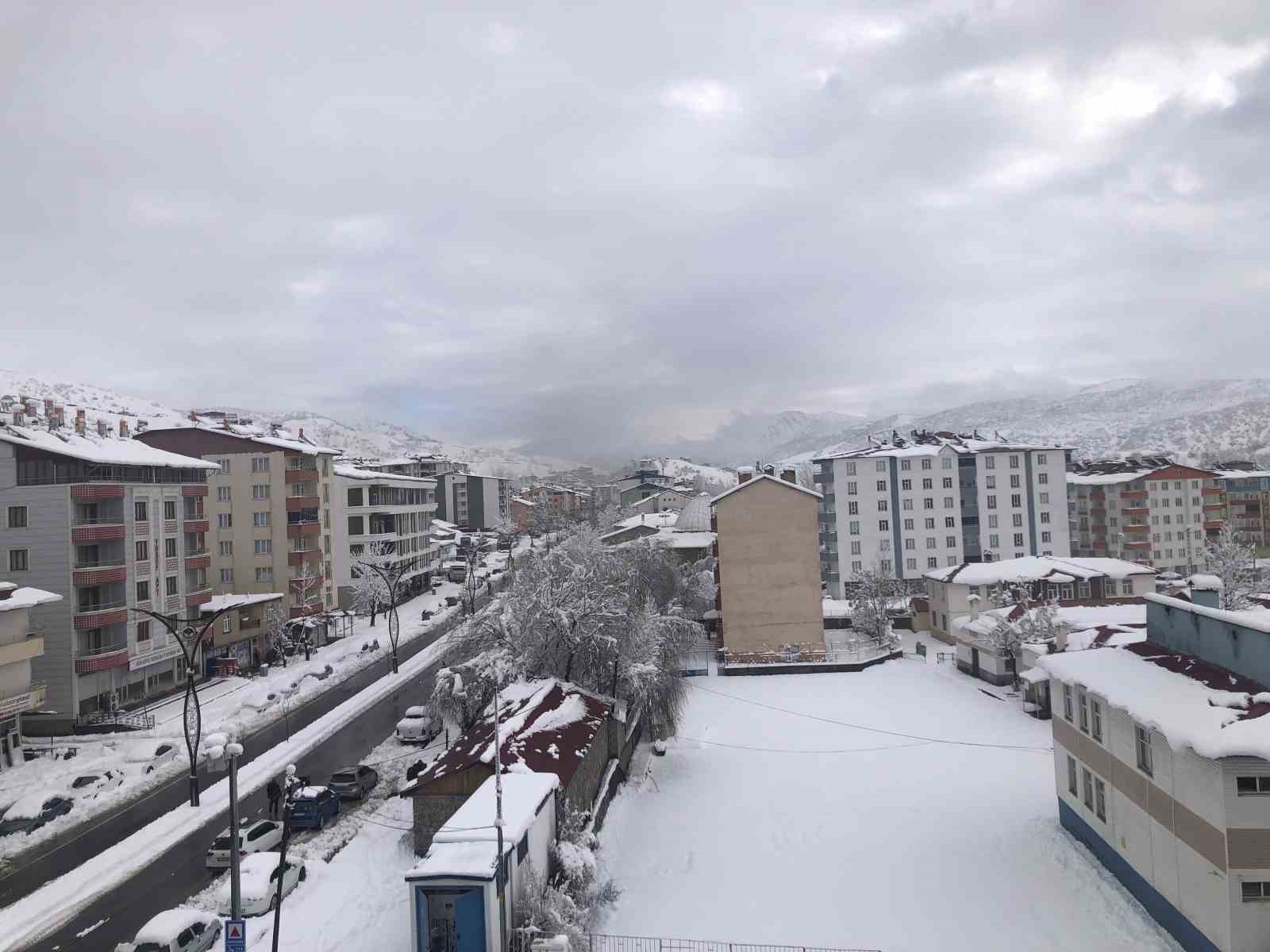 Hizan’da bir felaket: Araçlar toprak altında kaldı!