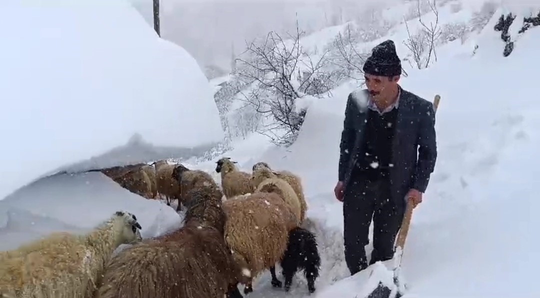 Bahçesaray’da hayvanların tünel ile geçişi kolaylaşacak