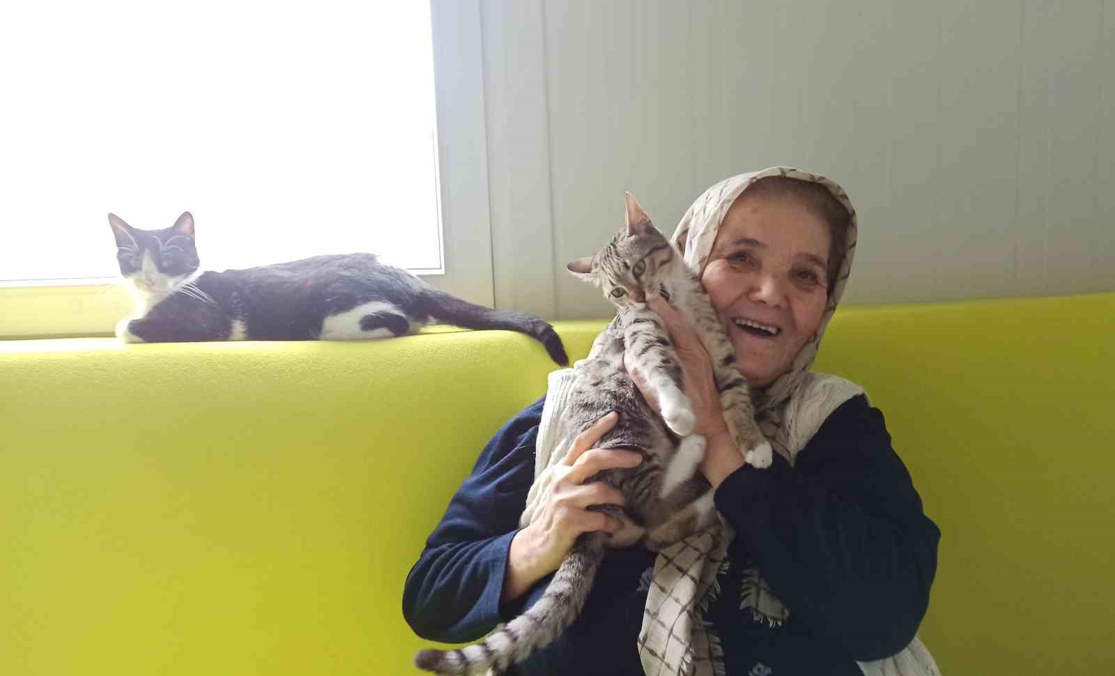 Kedileriyle birlikte konteyner evinde hayatını sürdüren Şaziye teyze
