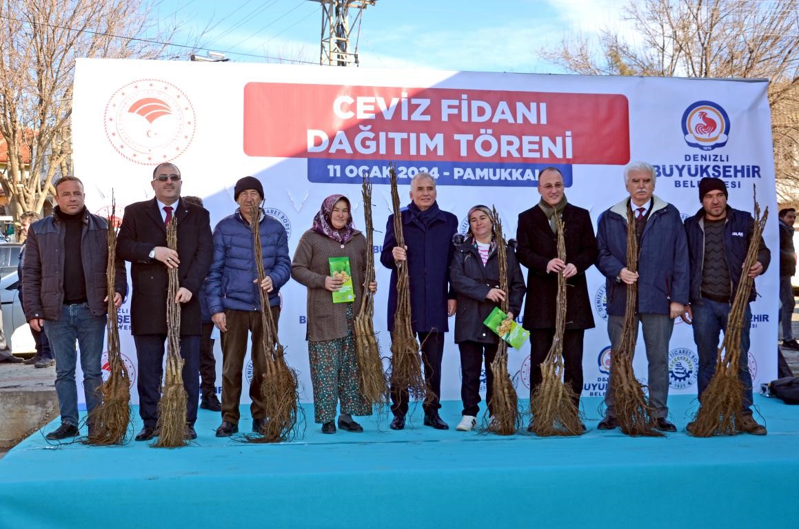 Denizli, Türkiye’de ceviz üretimi konusunda ilerlemeye devam ediyor