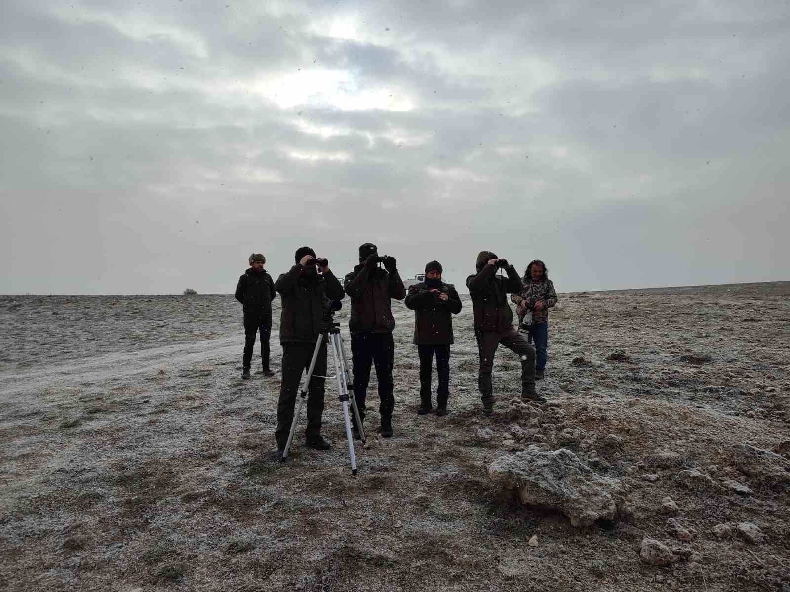 Su Kuşları İçin Kış Ortası Sayımı Yapıldı