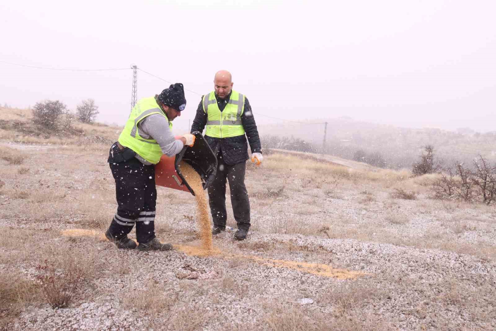 Elazığ Belediyesi, yaban ve sokak hayvanlarına yönelik yeni bir çalışma başlattı.