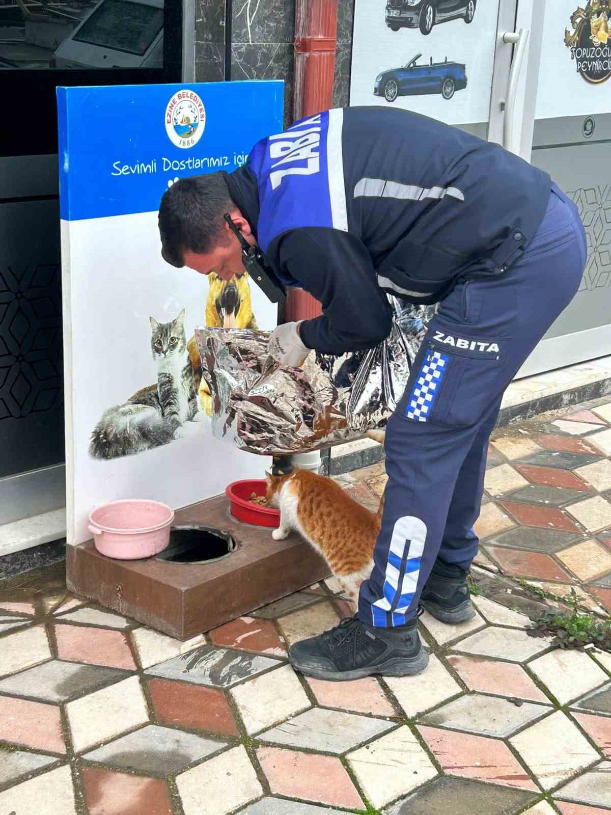 Ezine Belediyesi Zabıta Müdürlüğü’nden örnek davranış: Soğuk kış günlerinde can dostları unutulmadı