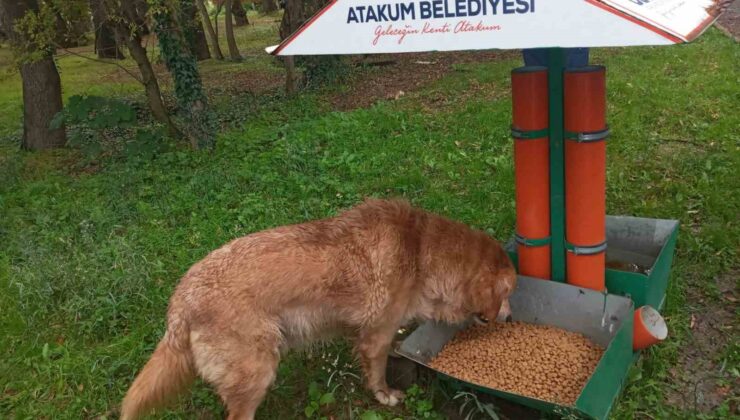 Atakum’da sokak hayvanlarına destek verenlere dikkat çeken kampanya