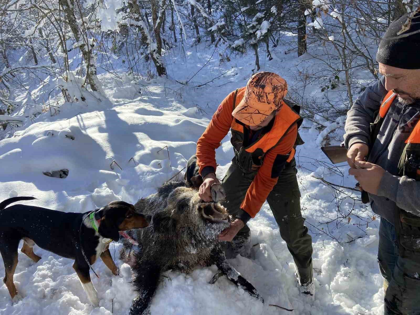 Sinema sahnesi değil, domuz avı