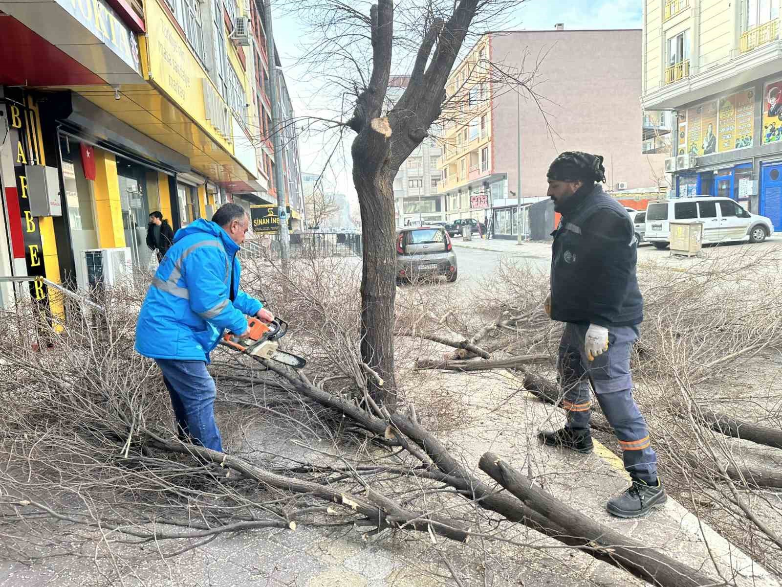 Iğdır’da ağaç budama faaliyetleri titizlikle sürdürülüyor