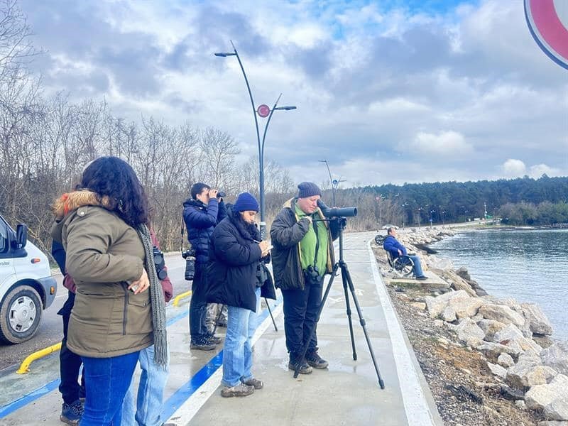 Sinop’ta gerçekleştirilen su kuşu sayımına ilişkin haber