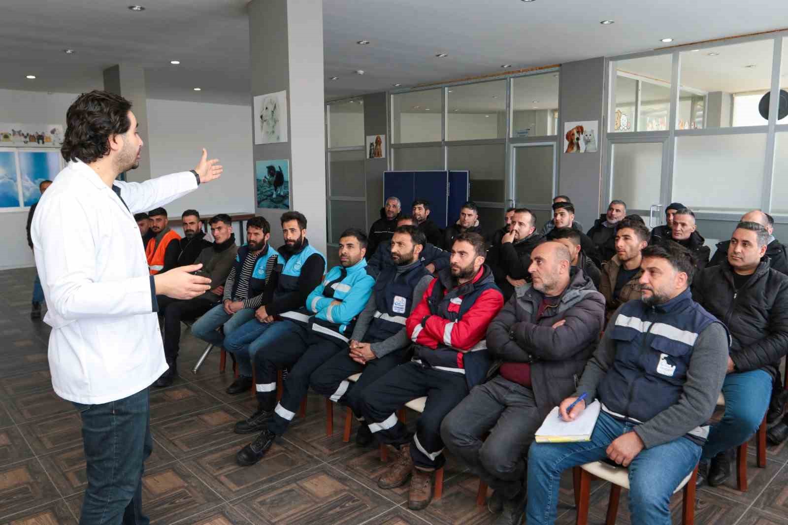 Türk Belediyeleri Sokak Hayvanları İçin Birleşti