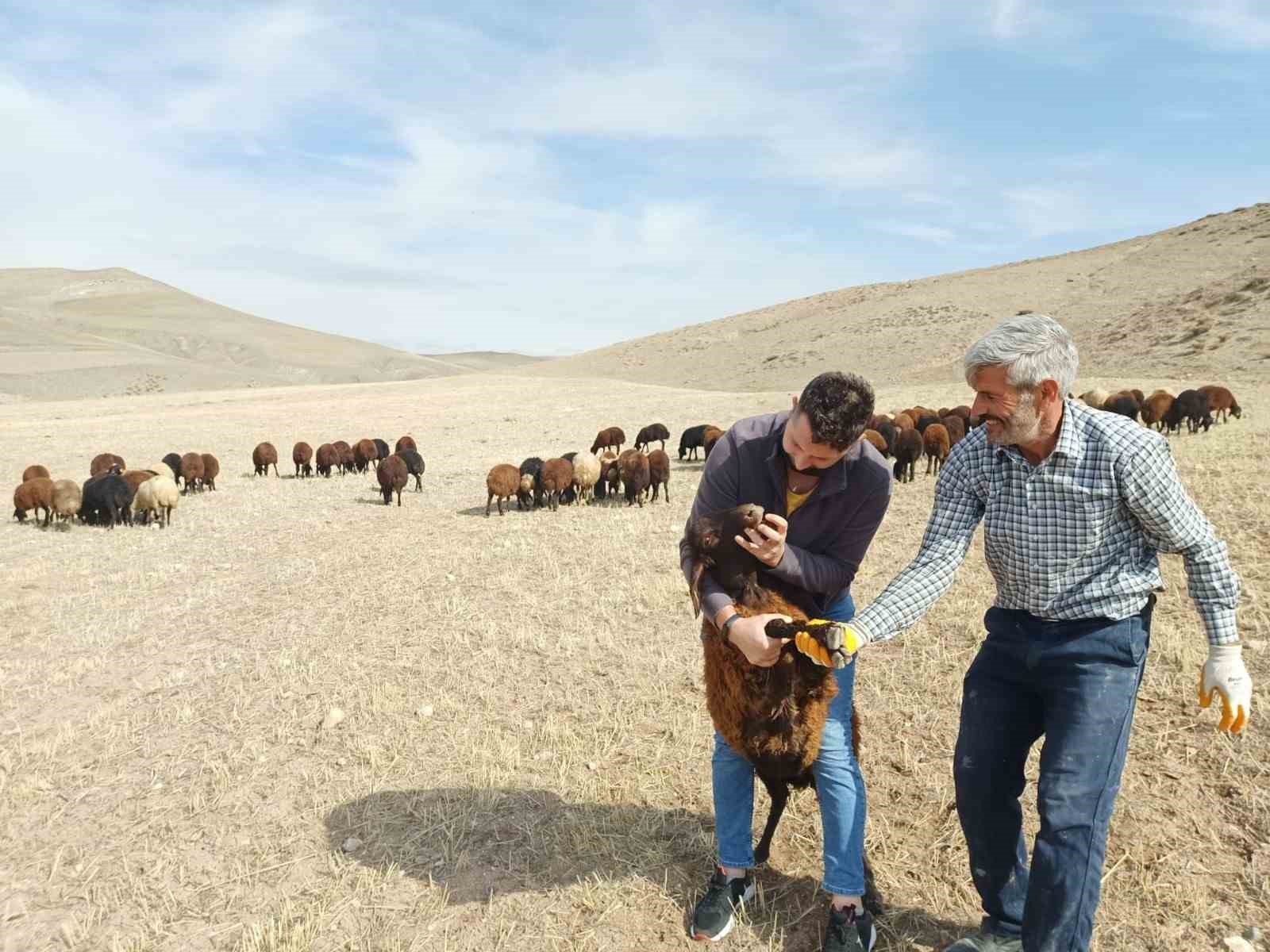 Köydeki Hayata İlgisi Olanlara Müjde: “Köyümde Yaşamak İçin Bol Nedenim Var” Girişimi Başladı!