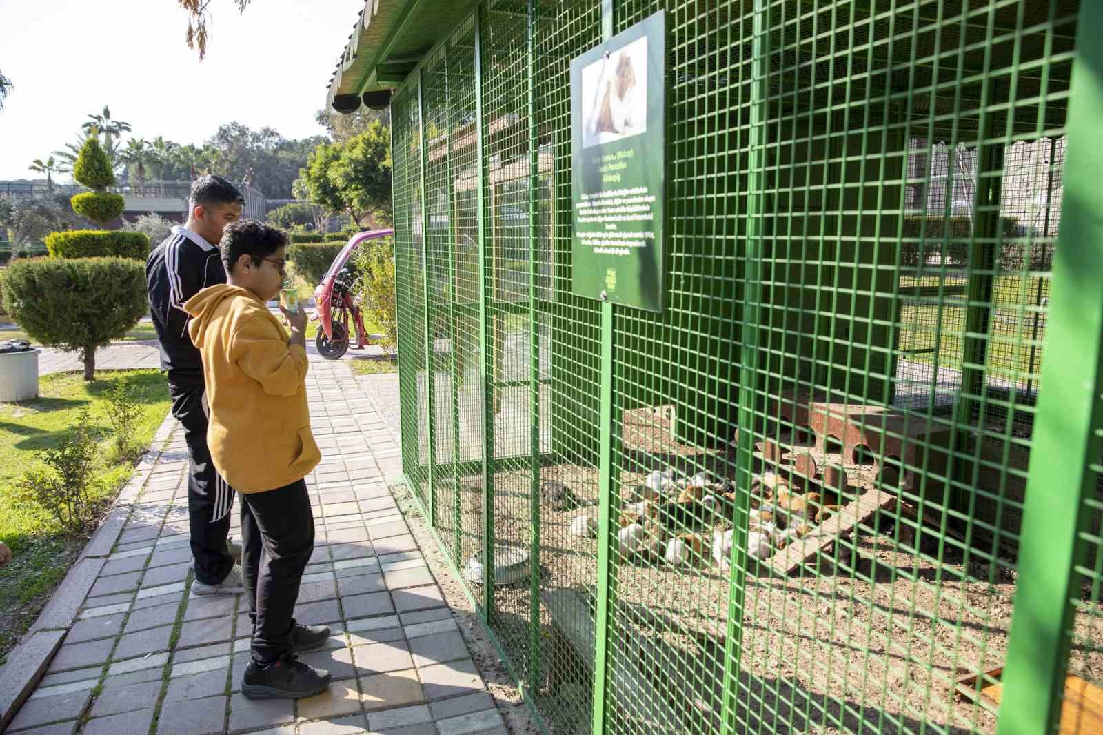 Tarsus Doğa Parkı, son bir yılda 400 bin kişiyi ağırlayarak yoğun ilgi gördü