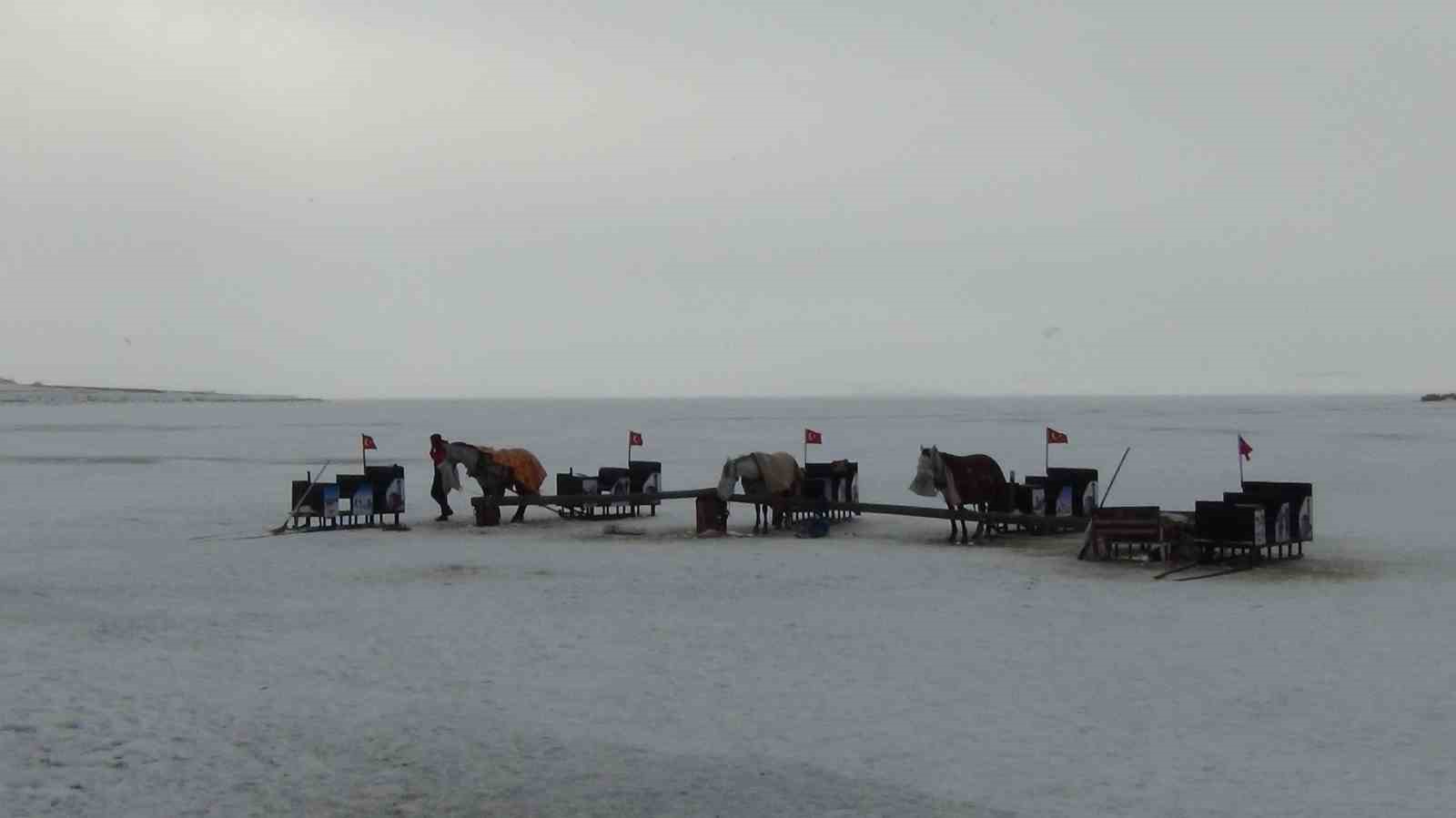 Kış aylarının vazgeçilmezi: Çıldır’da kızak atlarına battaniyeli koruma sağlanıyor