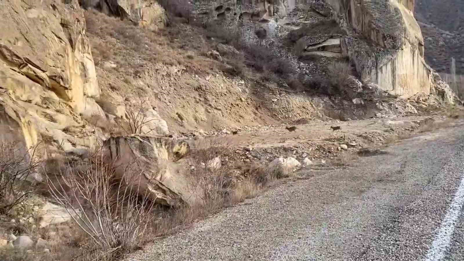 Dağ keçileri, yol kenarında görüldü