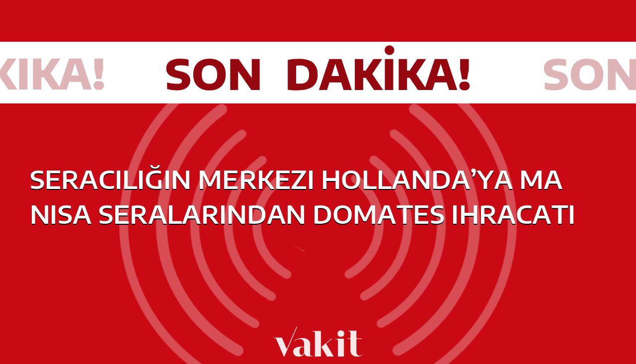 Manisa’dan Hollanda’ya domates ihracatı: Seracılığın kalbi Hollanda’ya domates gönderiliyor!