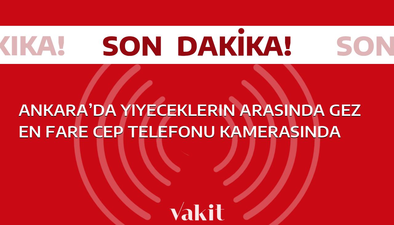 Ankara’da yiyecekler arasında dolaşan fare, cep telefonunun kamerasına yakalandı!