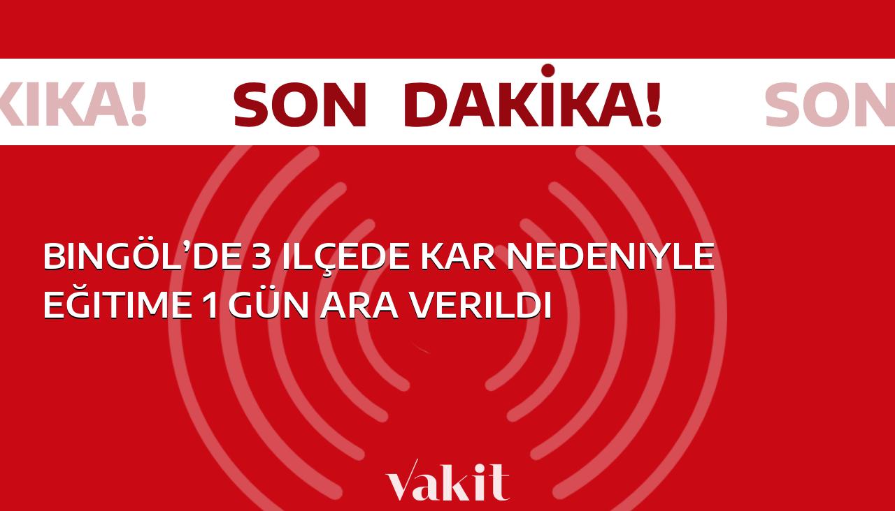 Dikkat Çeken Haber: Bingöl’de Kar Nedeniyle 3 İlçede Eğitime Bir Gün Ara Verildi!