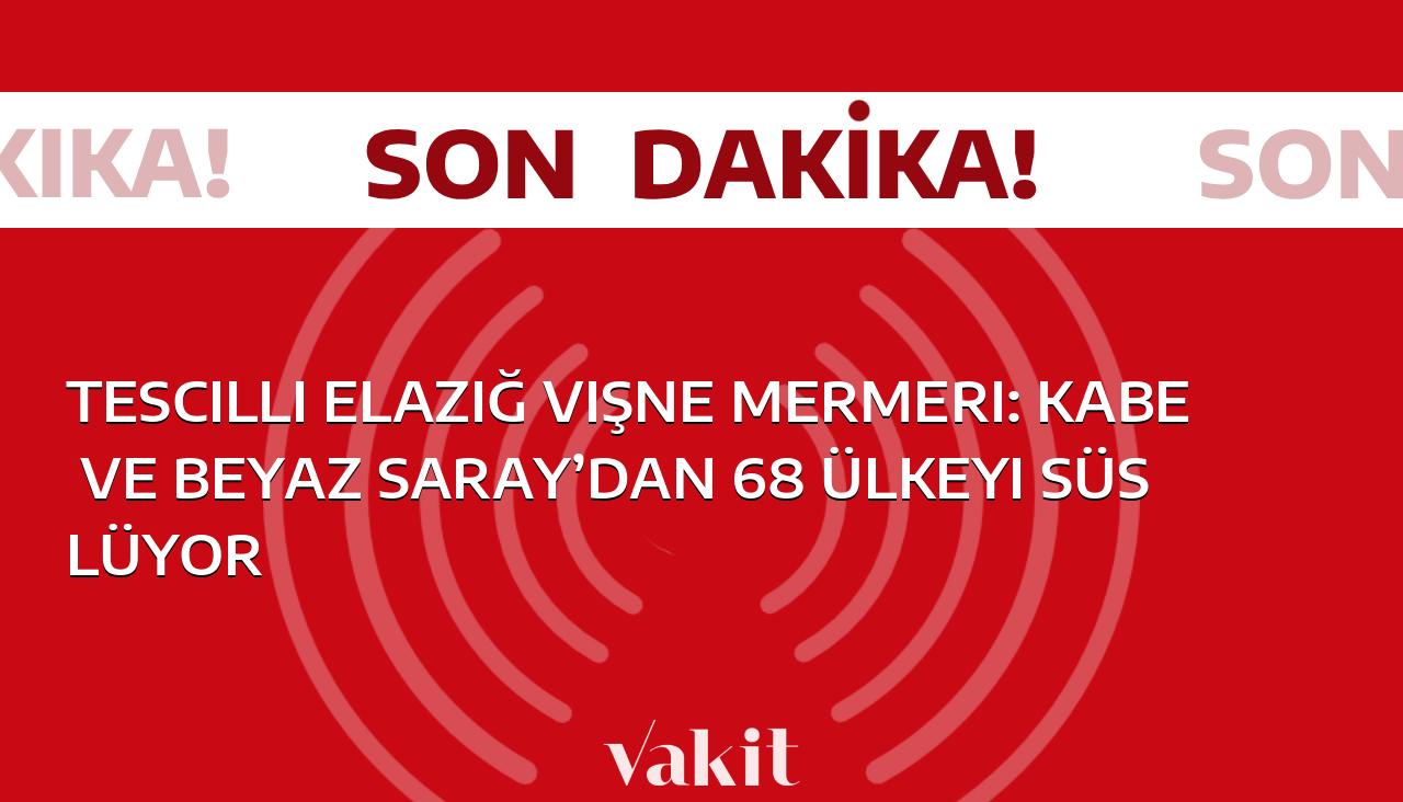 Elazığ kökenli Tescilli Vişne Mermeri: Kabe ve Beyaz Saray dahil 68 ülkenin gözdesi