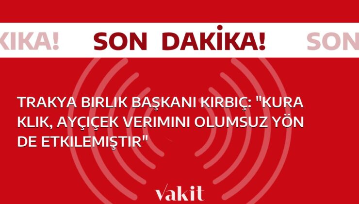 Trakya Birlik Başkanı Kırbiç, Ayçiçek Verimini Kuraklık Nedeniyle Olumsuz Etkilendiğini Belirtti