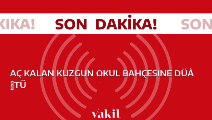 Yorulan karga okul bahçesine düştü