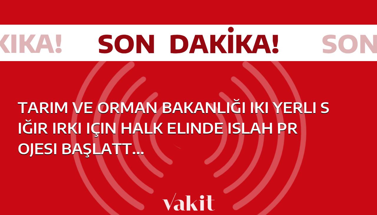 Tarım ve Orman Bakanlığı, yerli iki sığır cinsi için çift tırnak ve “Islah Projesi” ifadesini çıkararak halk arasında ıslah çalışması başlattı.