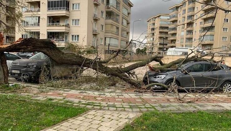 Bursa’da Etkili Fırtına: Deniz Ulaşımında İptaller ve Ağaç Devrilme Tehlikesi!