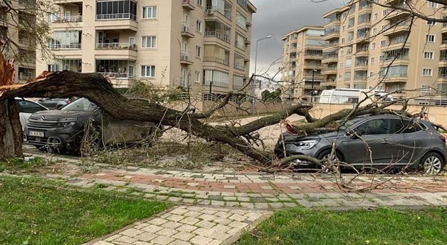 Bursa’da Etkili Fırtına: Deniz Ulaşımında İptaller ve Ağaç Devrilme Tehlikesi!